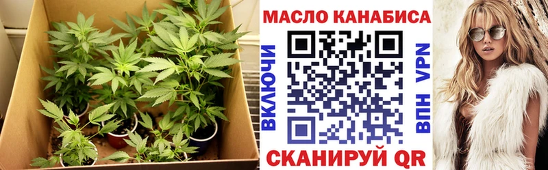 ТГК вейп  дарнет шоп  кракен как войти  Жердевка 
